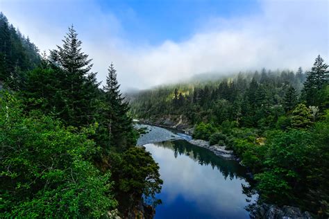 A Nature Lover's Guide to Redwood National Park Camping | Condé Nast ...