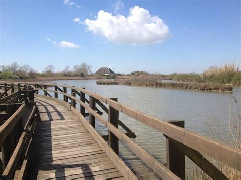 Riserva Naturale Valle Canal Novo Valle Nature Reserve Canal