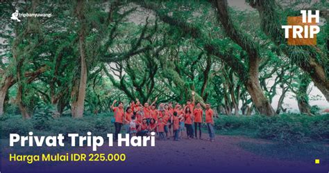 One Day Trip Banyuwangi Pulau Bedil Trip Banyuwangi Paket Wisata