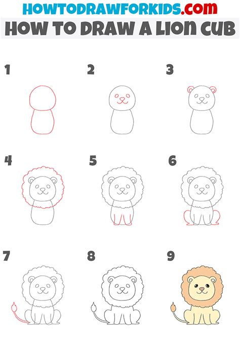 How To Draw A Lion Cub Step By Step – NBKomputer