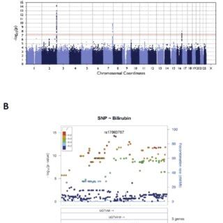 Genome Wide Association Study Results For Plasma Bilirubin