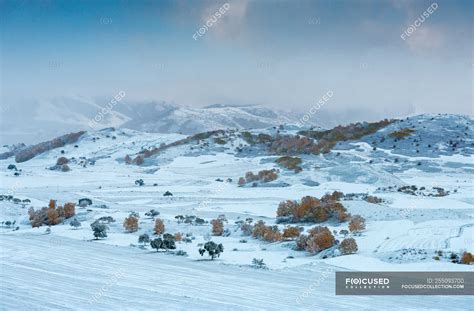 Beautiful winter landscape in Inner Mongolia — environment, background ...