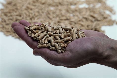 German Pellets Forms Joint Venture In Germany