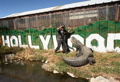 'Happy Gilmore' gator wrecked '90s sitcom set: caretaker