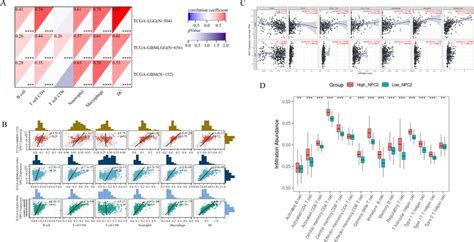 Immunoinfiltration Analysis A Correlation Heatmap Of Npc And Immune