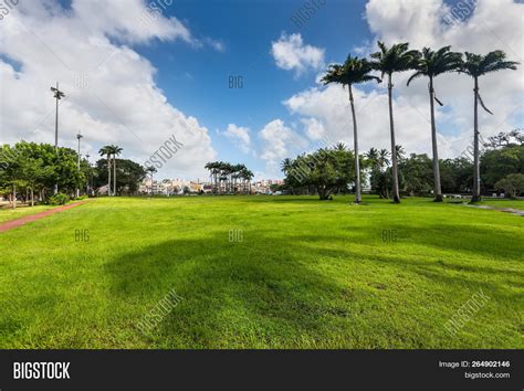 savane park fort de image photo  trial bigstock