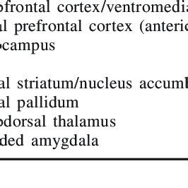 Neuroanatomical structures implicated in reward | Download Table