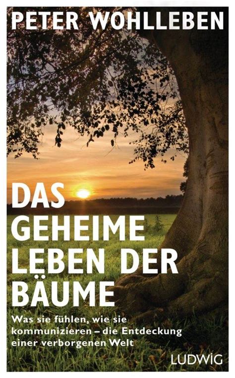 Buchtipp Das geheime Leben der Bäume RAEMPEL