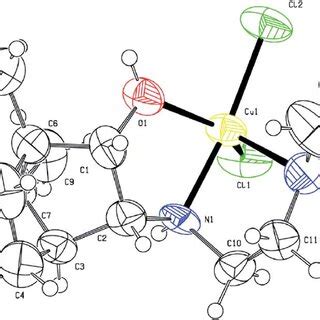 Ortep Drawing Of The Molecular Structure Thermal Ellipsoids Are