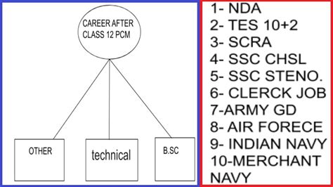 Pcm Career Options After Class Th What To Do After Class Th Pcm