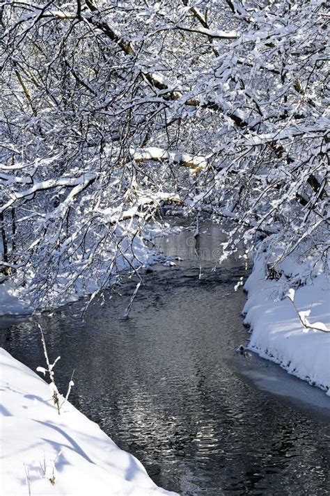 Winter in Madison, Wisconsin Stock Photo - Image of bridge, cold: 24548976