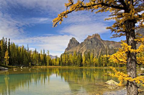 Sfondi Alberi Paesaggio Foresta Autunno Montagne Lago Acqua