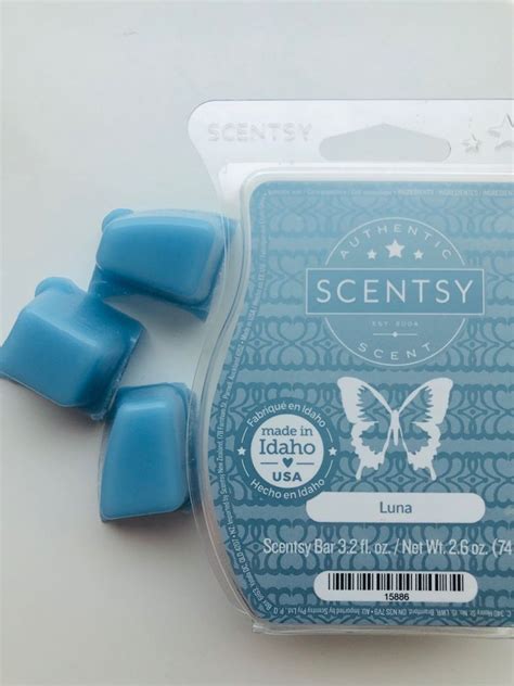 Scentsy Brick Vs Scentsy Bar Artofit