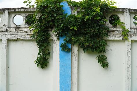 Um fragmento de uma parede feita de lajes de concreto vegetação