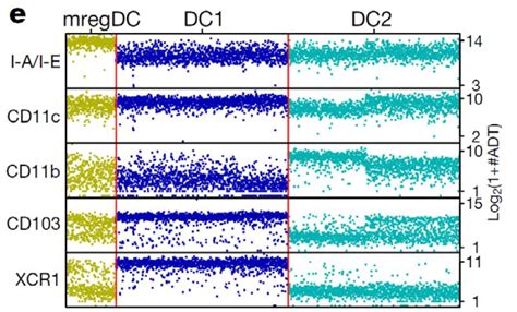 single cell gene expression  cell surface protein capitalbio