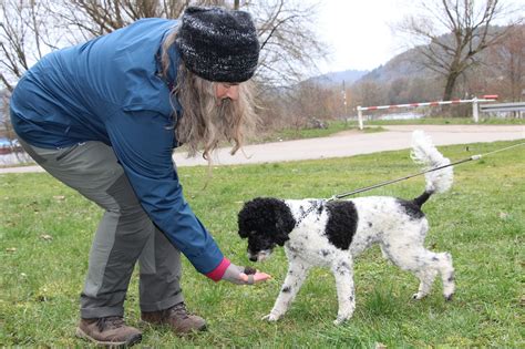 Tr Ffelsuche Mit Hund Der Richtige Riecher Tiere Mindener Tageblatt