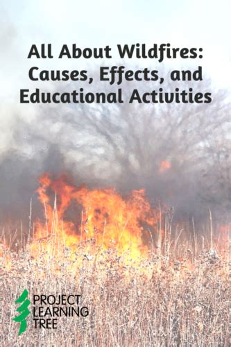 All about wildfires causes effects and educational activities – Artofit