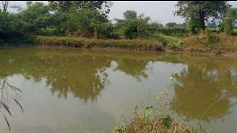 Shahdol News Two Brothers Died Due To Drowning In Chhapra Pond