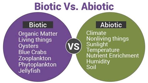 Abiotic And Biotic Factors Meaning Examples And Differences Abiotic Biotic Triangle Worksheet