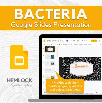 Kingdom Bacteria Google Slides Presentation By Hemlock Science Shop