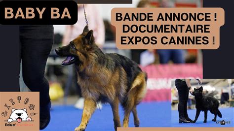 Expositions Canines Documentaire Bande Annonce YouTube