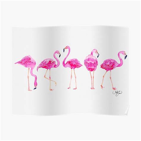 "Pink Flamingos" Poster for Sale by Klearwater | Redbubble