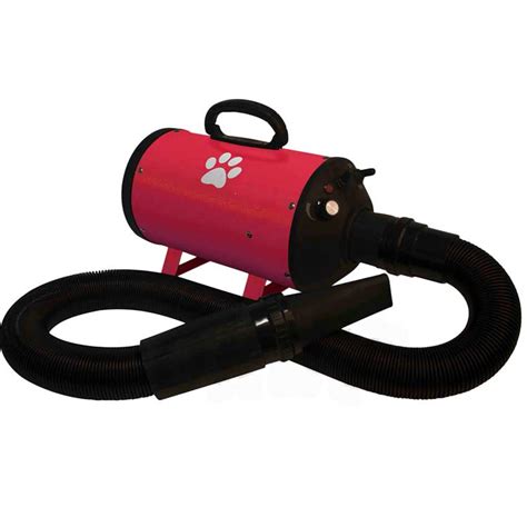 Pulseur Air Chaud Tools Groom Basic Paw R Pour Chien