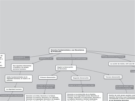 Derechos Fundamentales Y Sus Mecanismos De Mind Map