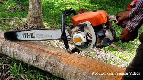 Chainsaw Tree Cutting Machines Woodworking Cutting Skills With Small Machines Cutting Tree