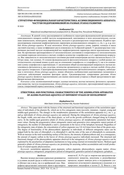 PDF Structural And Functional Characteristics Of The Assimilation