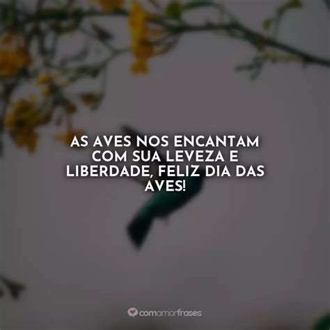 As Aves Nos Encantam Sua Leveza E Liberdade Feliz Dia Das Aves