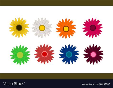 Daisy flower Royalty Free Vector Image - VectorStock