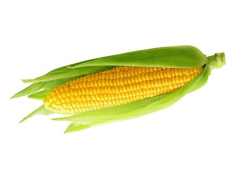 A Grade Yellow Sweet Corn Organic Rs 16 Kg Evezon India Private