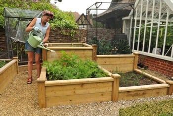 Superior Wooden Raised Beds Harrod Horticultural