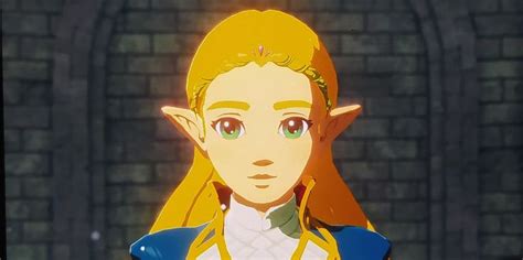 Pin By Daniela Hyuga On Princess Zelda In 2021 Aoc Art Age Of