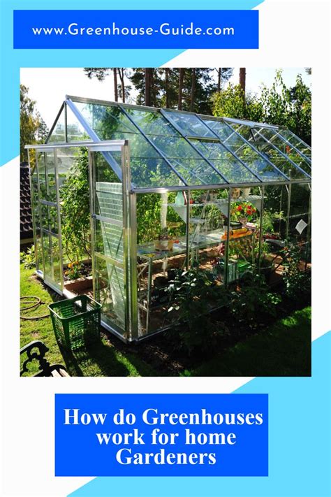 How Do Greenhouses Work For Home Gardeners Greenhouse Gardening