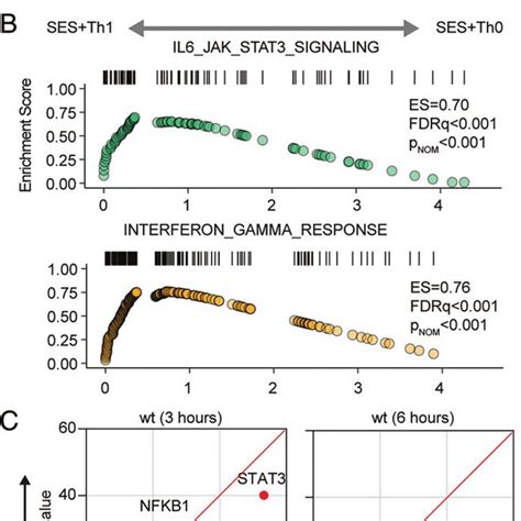 Regulatory Signatures Of Cytokine Signaling In Acute Inflammation A