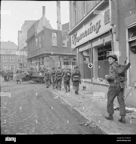 The British Army In North West Europe 1944 45 Infantry And Carriers In