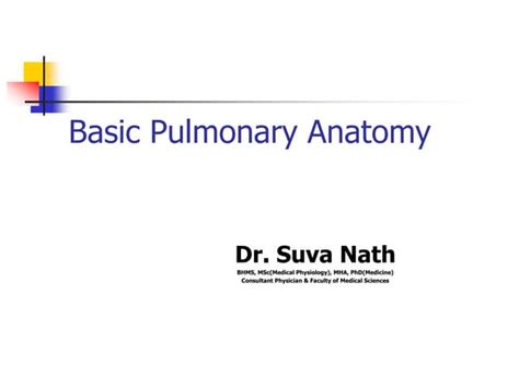 Basic Pulmonary Anatomy Physiology Of Respiratory System Ppt