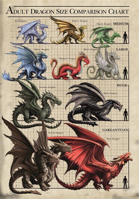 “Dragon Size Comparison Chart” Blank Card by Anne Stokes | Dragonrat ...