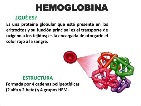 Sistesis De Hemoglobina