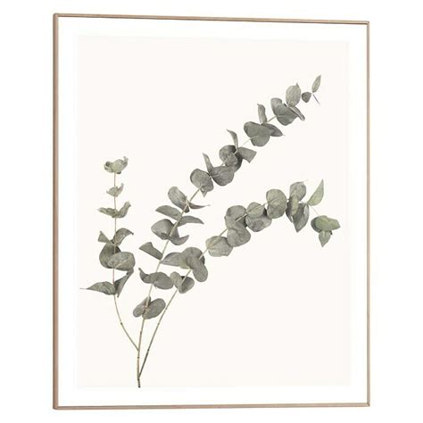 Bild Slim Frame Wood Eucalyptus B X H X Cm Bauhaus