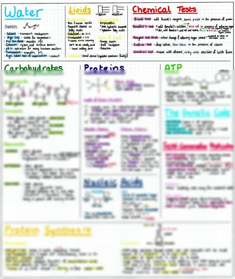 Solution Ocr A Level Biology Biological Molecules Revision Diagram