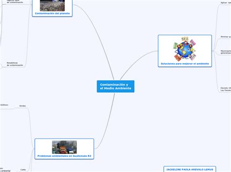 Contaminación Y El Medio Ambiente Mind Map