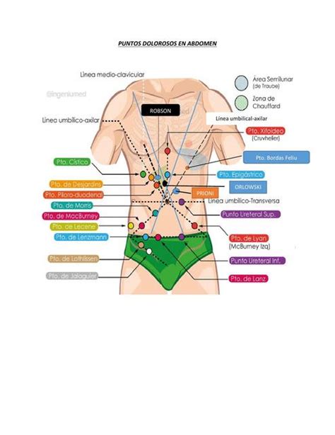 Puntos Dolorosos En Abdomen Admr Oraqueni UDocz