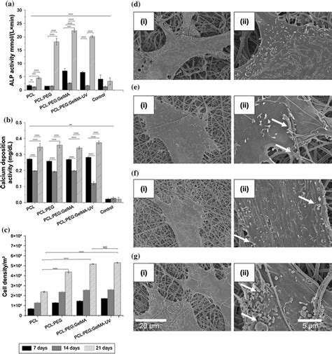 A Alp Activity Showed An Increase In Calcification Of The Extracellular Download Scientific