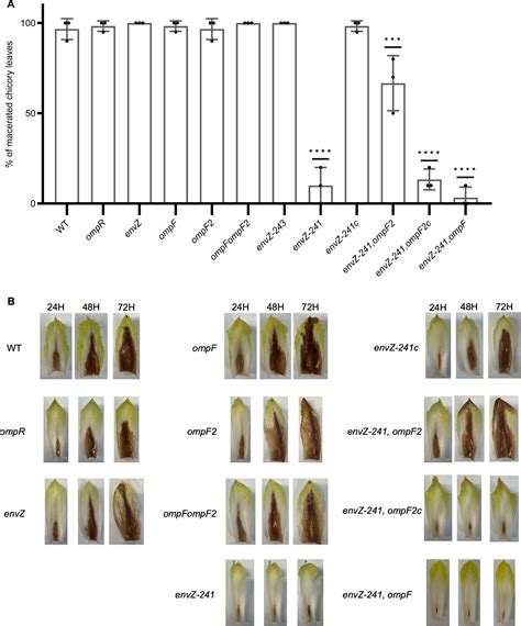 Emergence Of The Dickeya Genus Involved Duplication Of The Ompf Porin