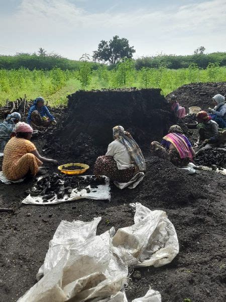 Black Lumps Wood Charcoal For High Heating Purity 99 99 9 At Rs 21 In Chitradurga