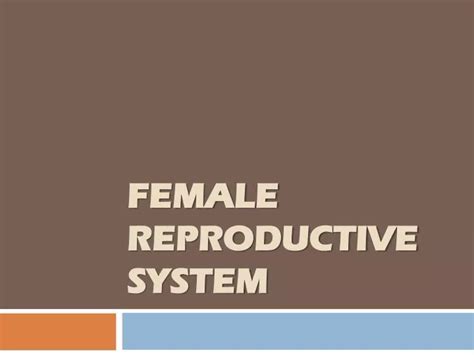 Ppt Female Reproductive System Powerpoint Presentation Free Download