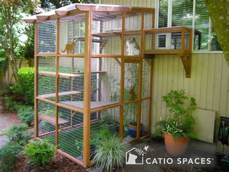 DIY Catio Plans & Catio Design Ideas | How To Build a Catio Space